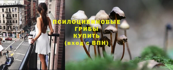 дурь Нефтекумск