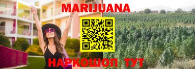 гидропоника Бийск