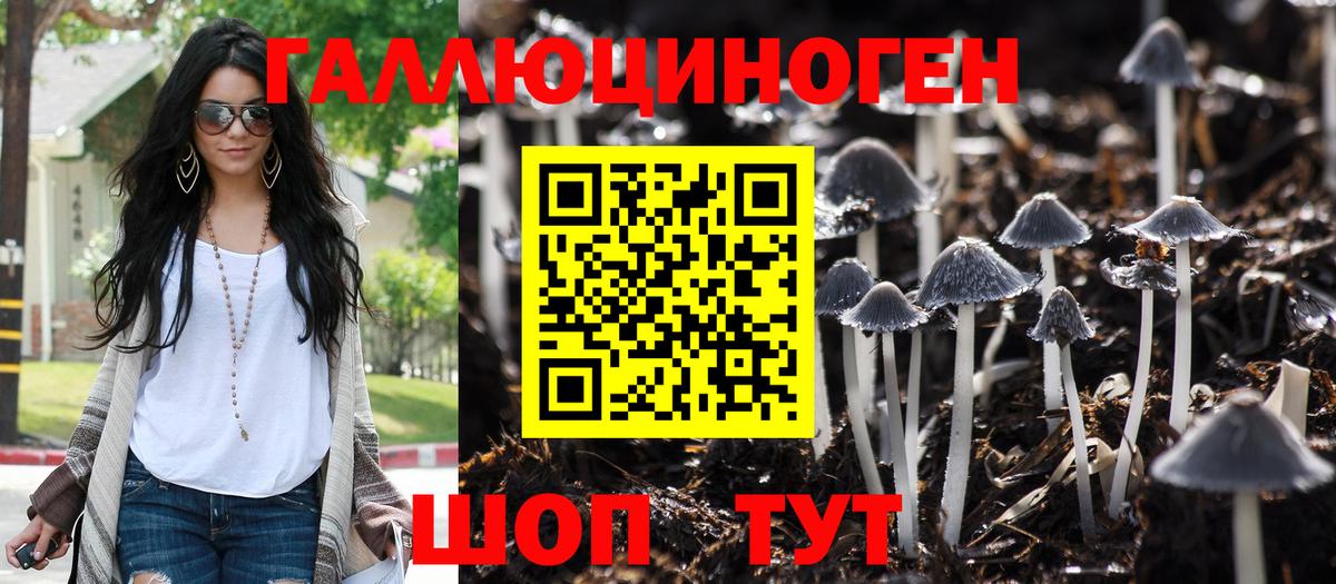 купить наркотик  Красный Сулин  Галлюциногенные грибы мухоморы  Галлюциногенные грибы MAGIC MUSHROOMS 