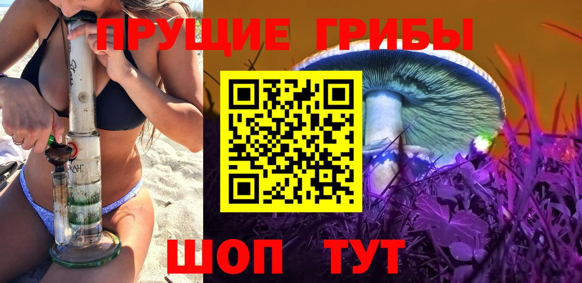 Красный Сулин  Псилоцибиновые грибы Magic Shrooms  Вход с VPN 